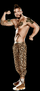 Nick : Andrei TKD,face